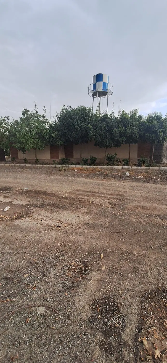 یک قطعه باغ میوه