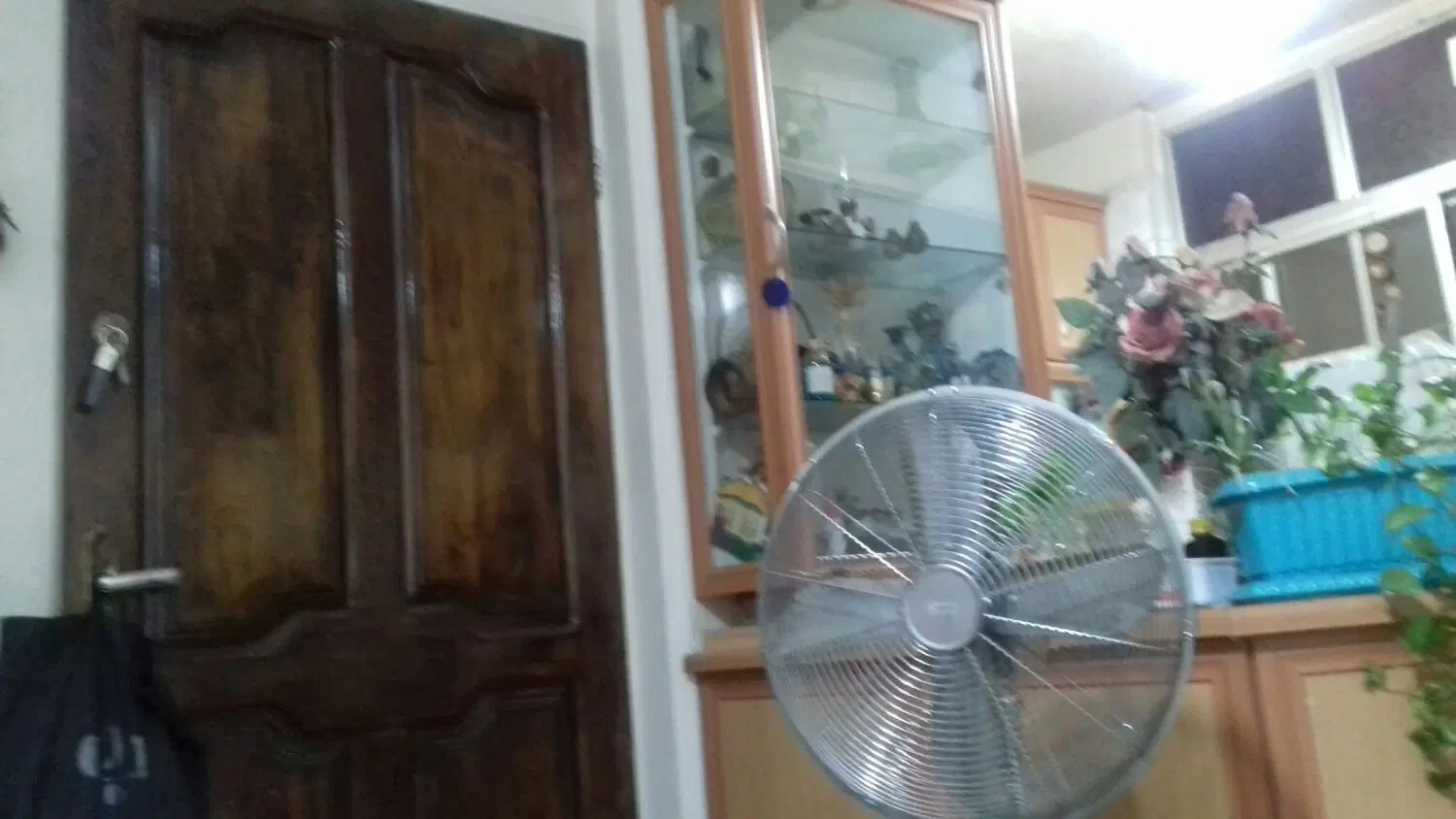 اجاره معازه