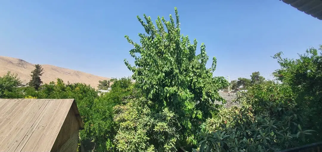220متری درب ساختمان