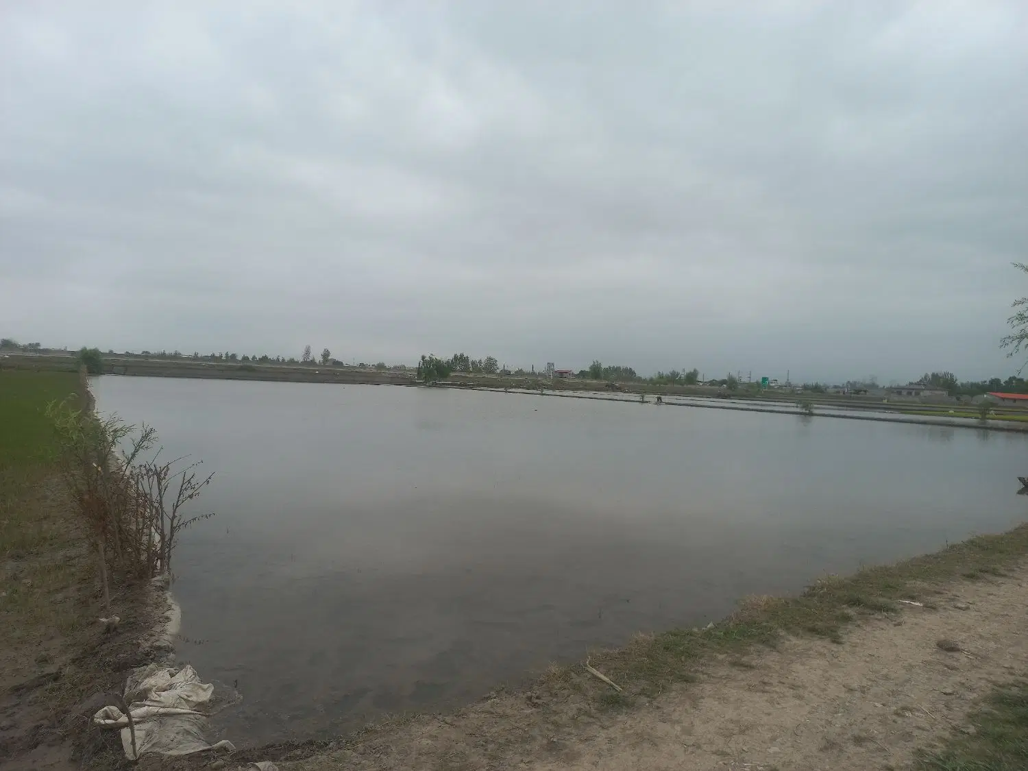 زمین کشاورزی به مساحت ۴۳۱۷