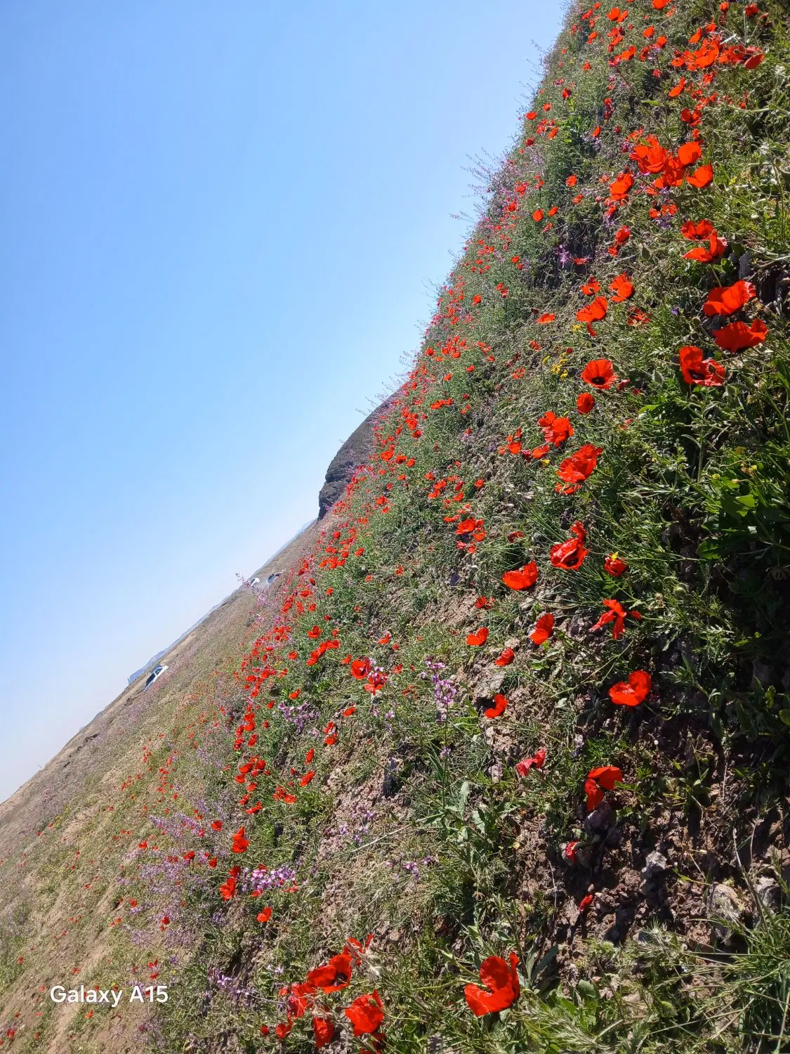 یک قطعه زمین