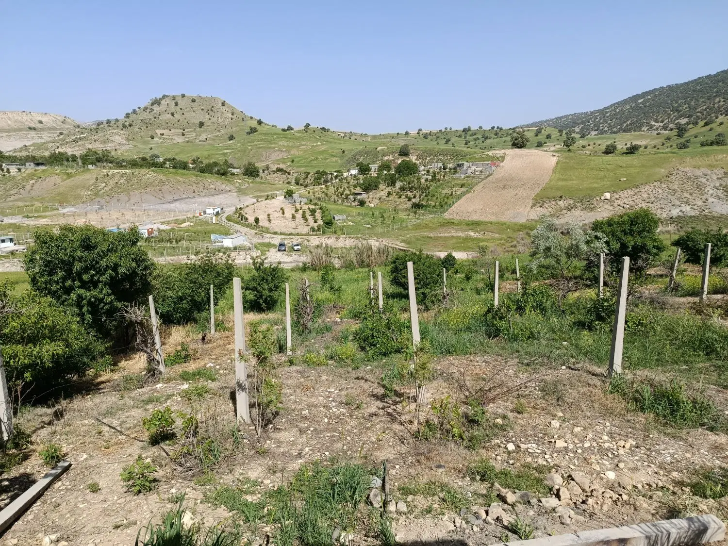 خانه باغ بلیین