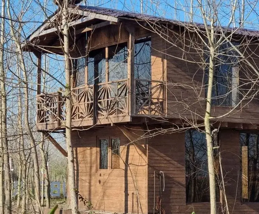 تجلی اصالت در دل طبیعت
