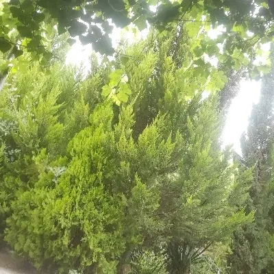 سلام زمین فروشی اسلام آباد خیابان حضرت رسول