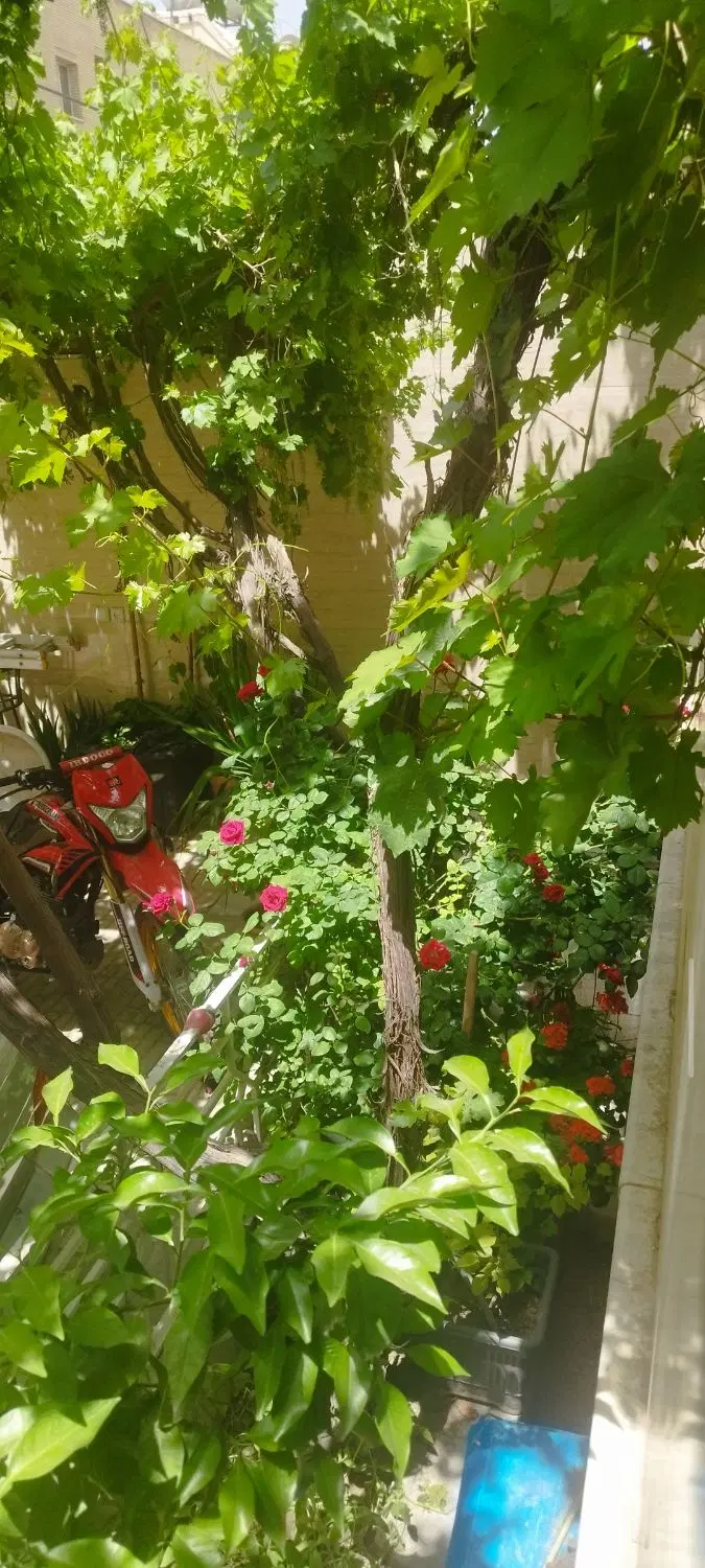 اجاره ویلایی