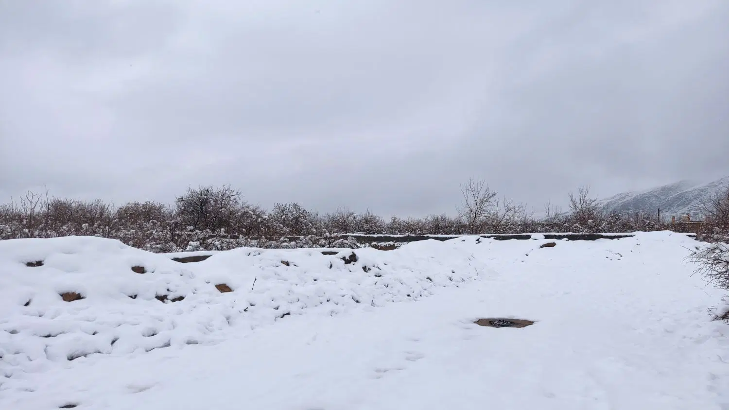زمین مسکونی تفت