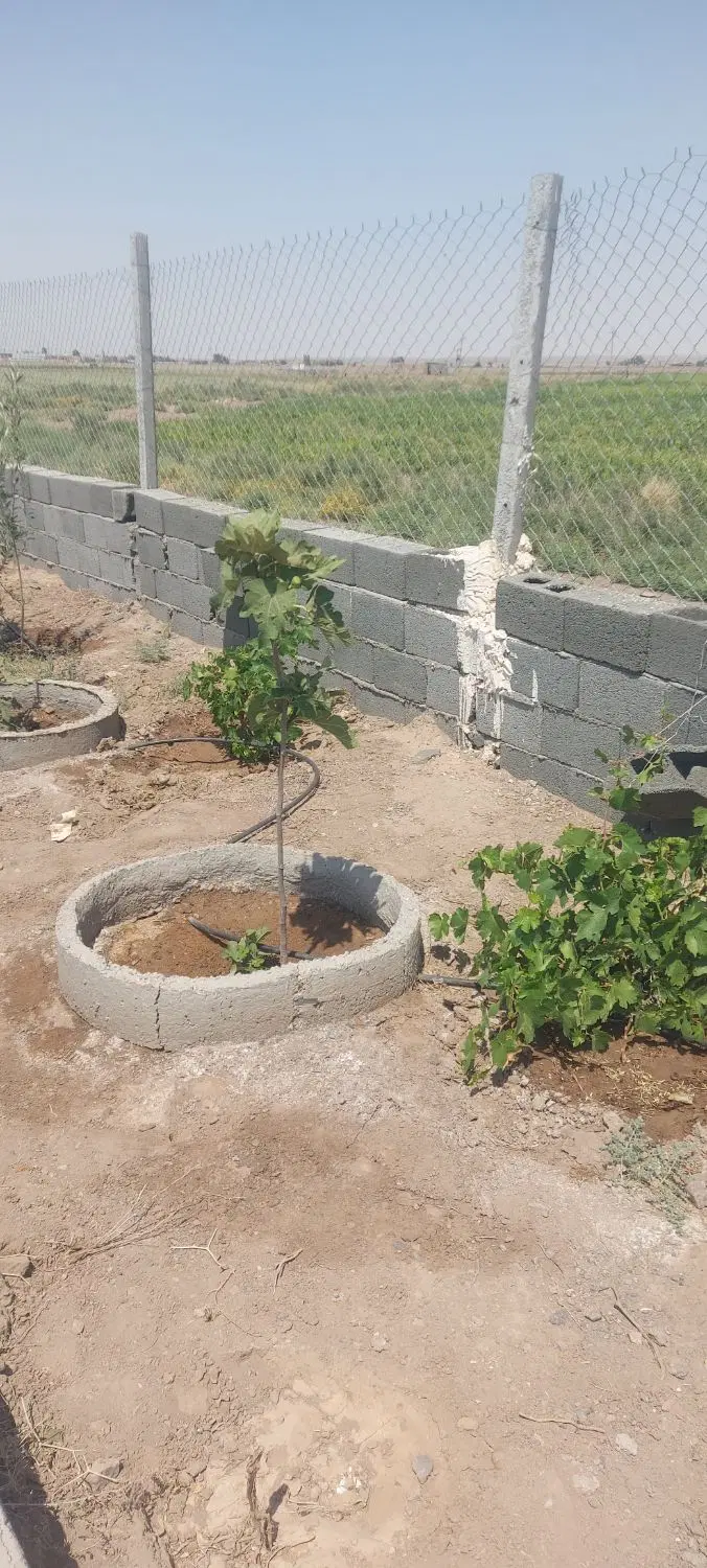 زمین محصور
