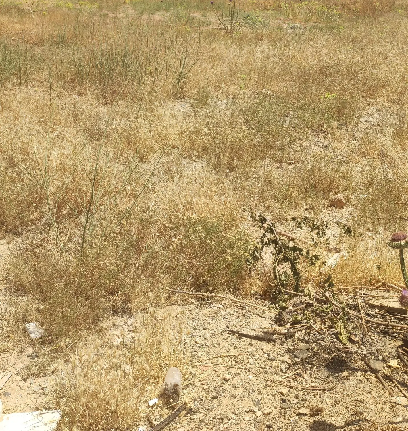 فروش زمین مخصوص خانه باغ