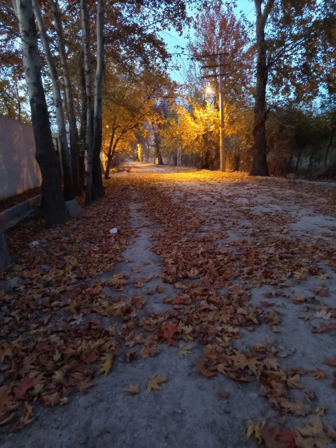 خانه ویلای اجاره