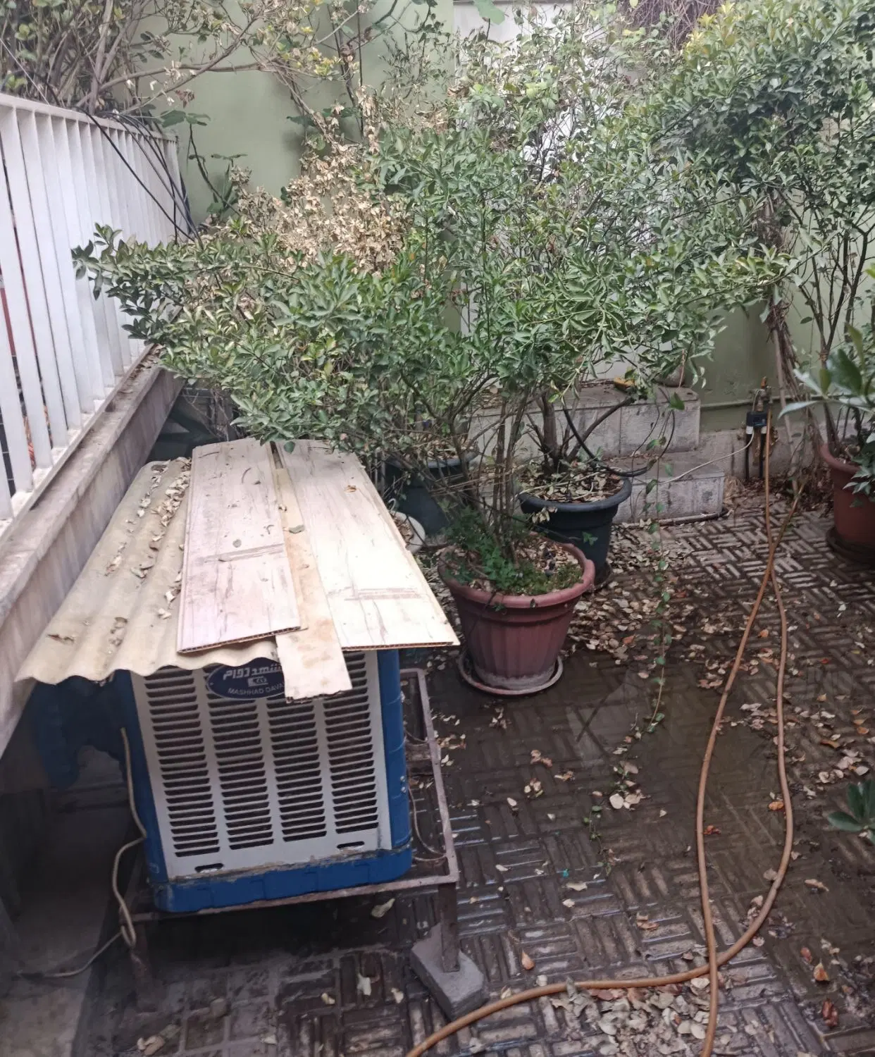 ۵۵ متر حیاط دار ماندگار