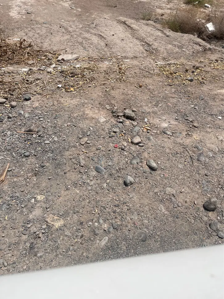 زمین مسکونی تک برگ