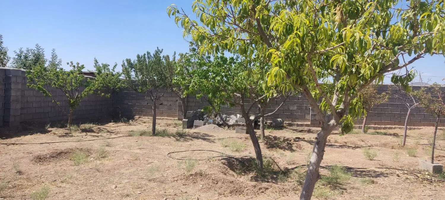 باغ‌باغستان‌فردوسی‌میزان‌شاهنامه