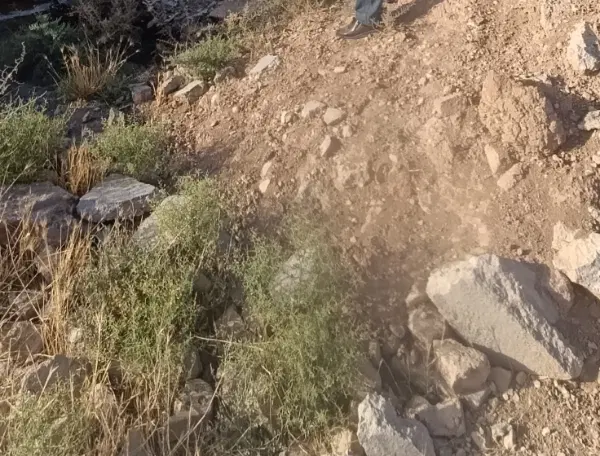 زمین خالی تک برگ ۶دونگ تقسیم شده ۵تا قطعه