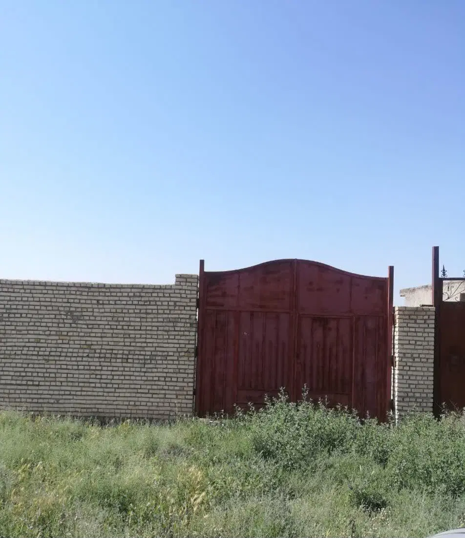 زمین باغی