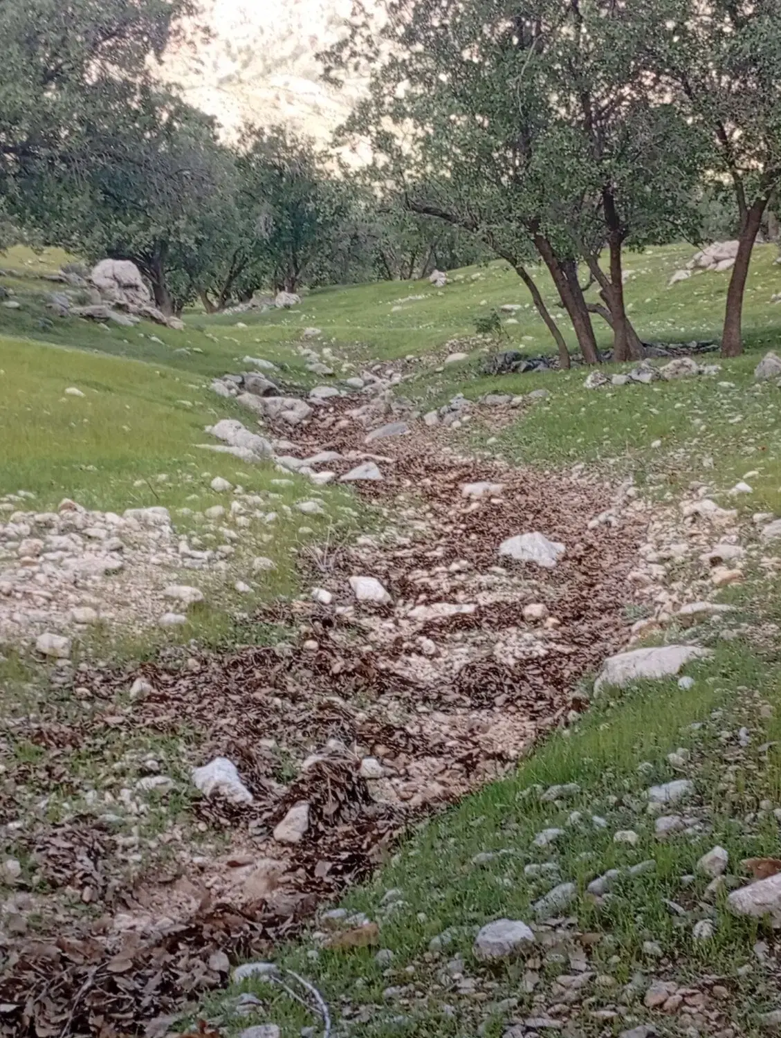 باغچه ۹۰۰متری معاوضه با خودرو..کلستان