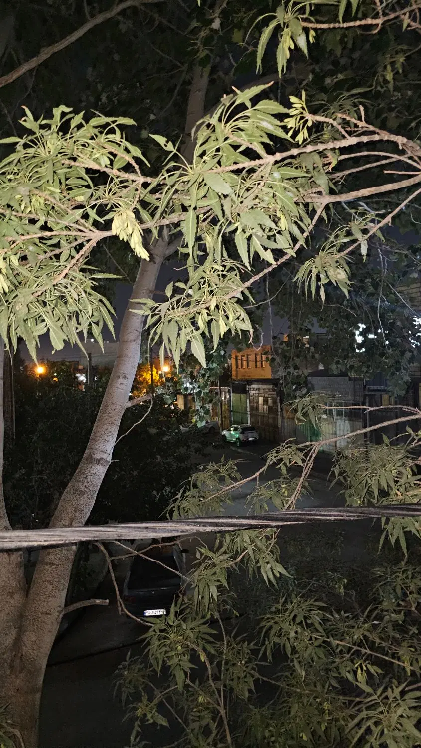 ملک کارگاهی . شهرک صنعتی