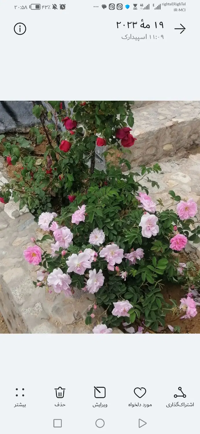 خانه باغ سانیج باغکهه نوساز