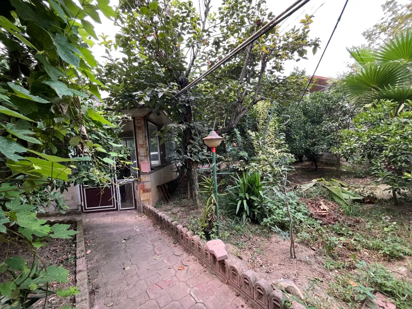 بهرام
