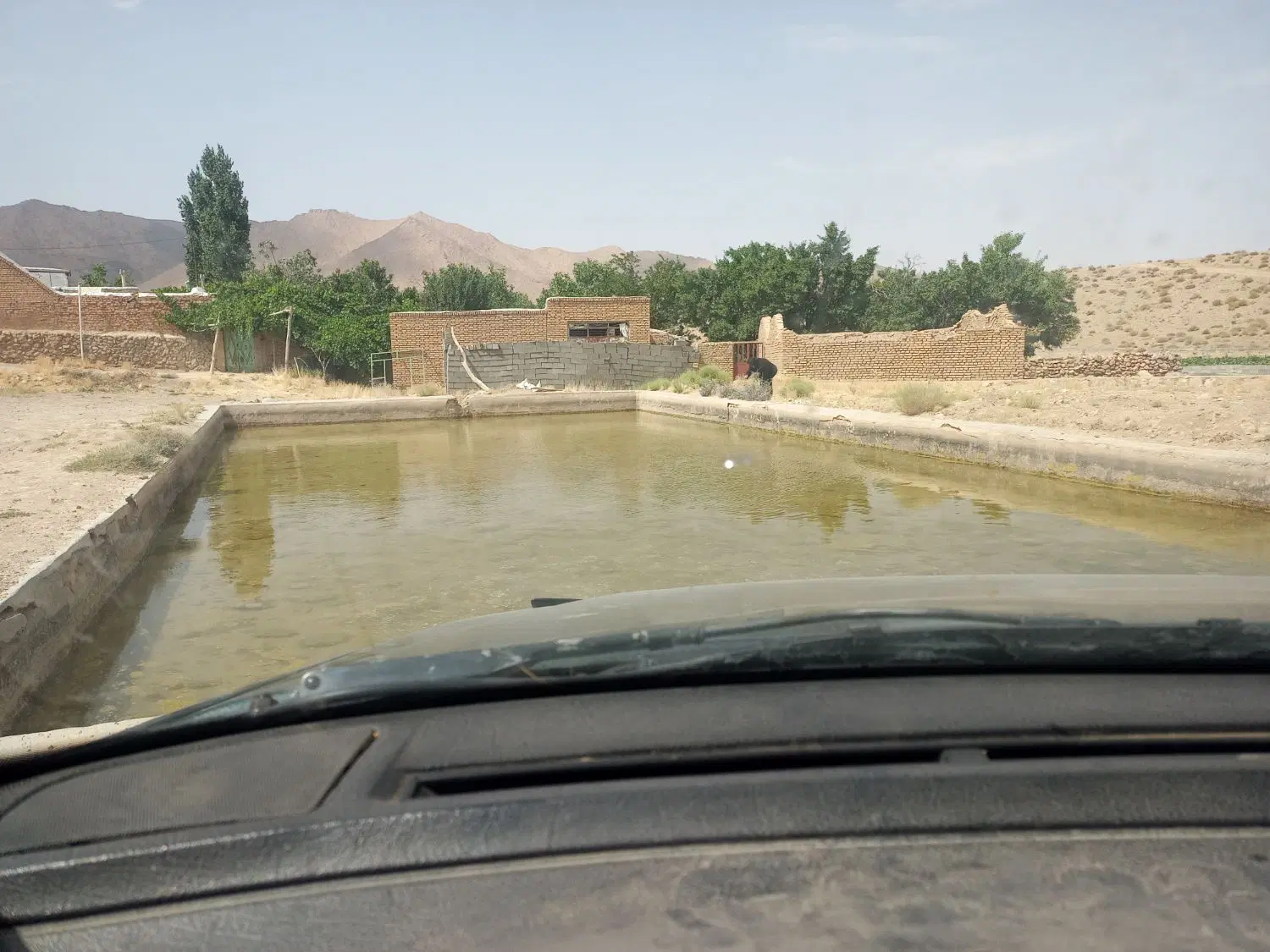 زمین. خودسفلی