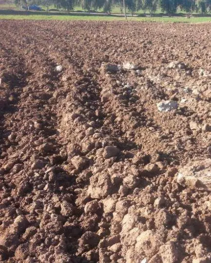 زمین‌ مناسب زراعت و باغ و خونه باغ