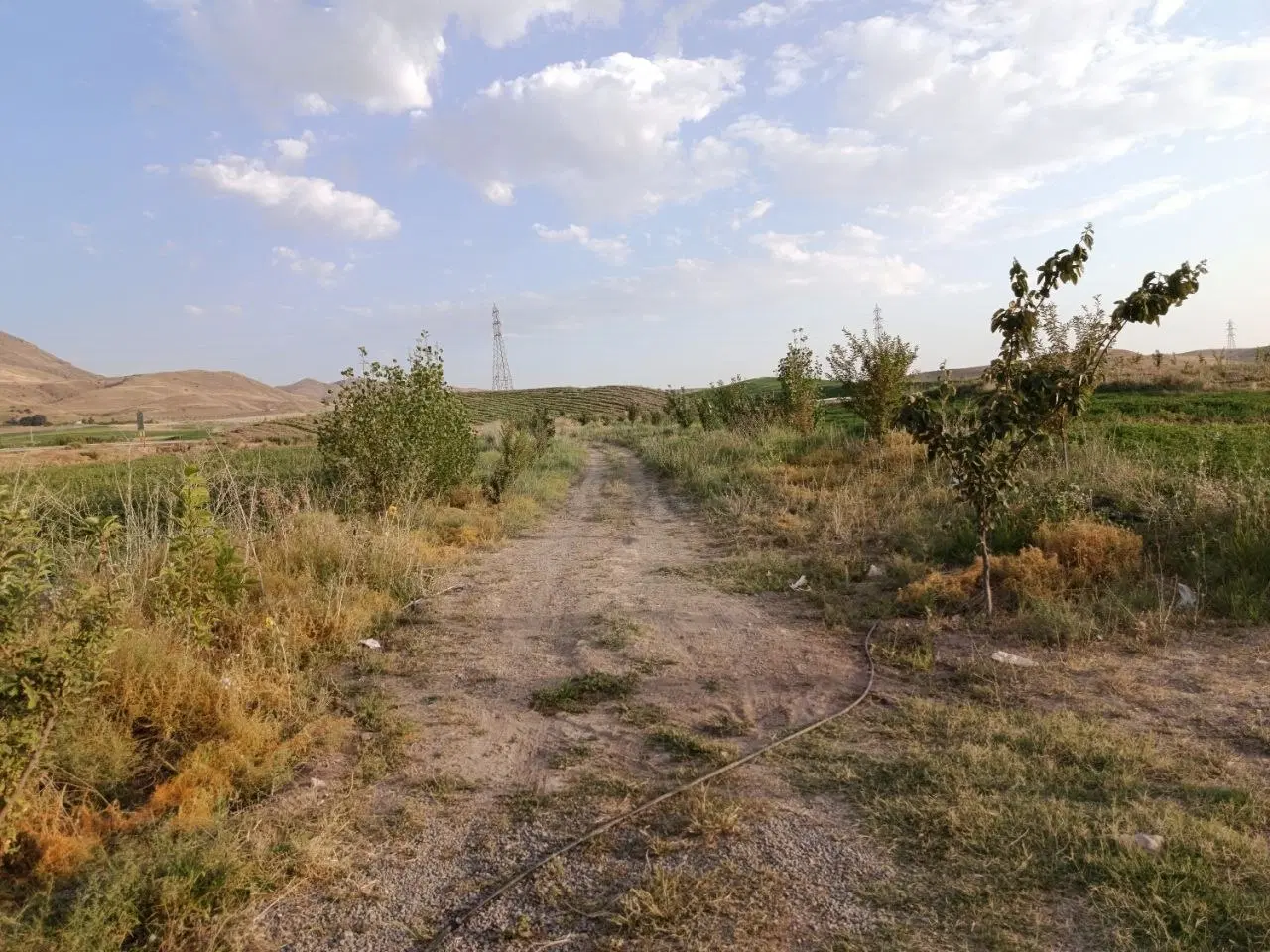 خانه باغ