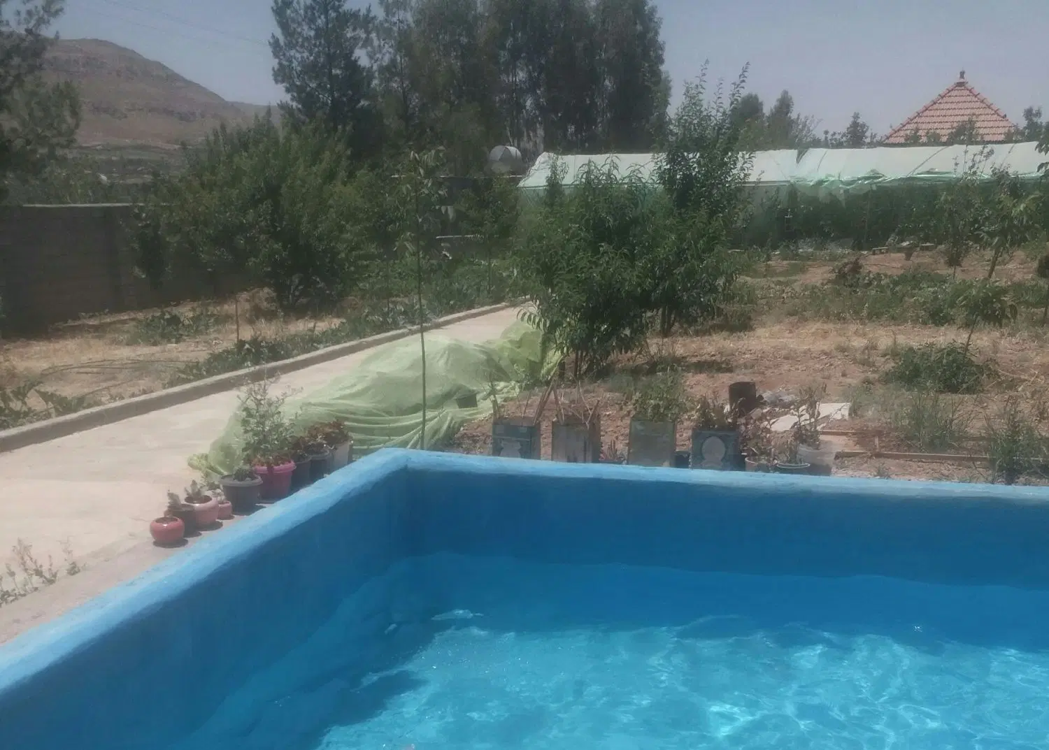 باغ شهری