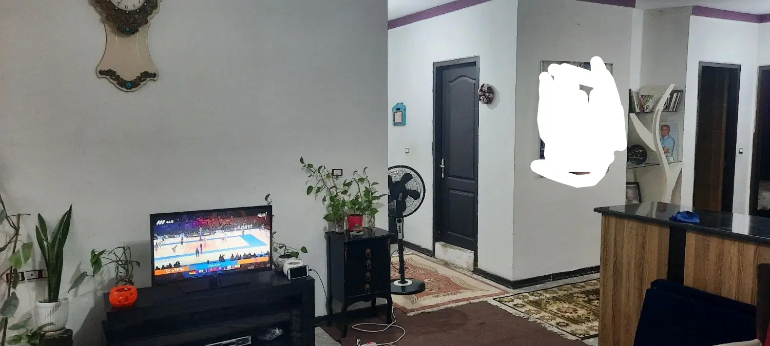 نزدیک به دریا و جنگل در نور مناسب سرمایه گذاری