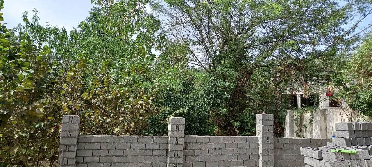 زمین مسکونی در دل کوه جنگل وکنار رودخانه