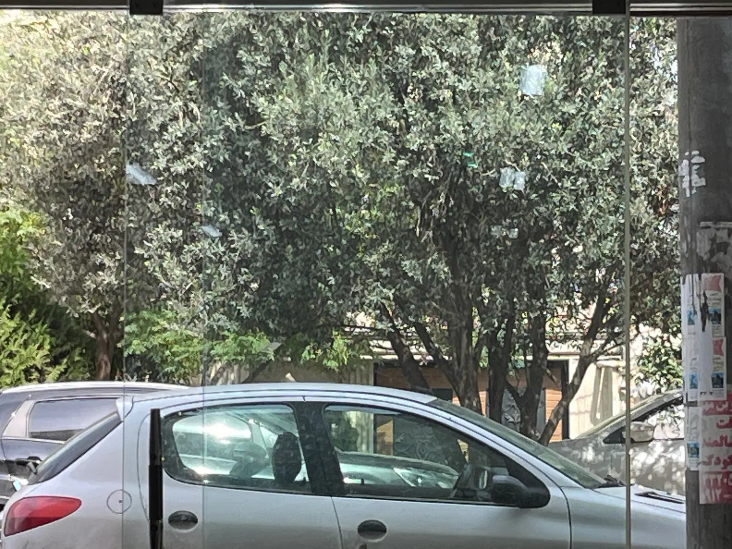 فروش ۲۰۲متر زمین دو واحدی بر بلوار پرستار