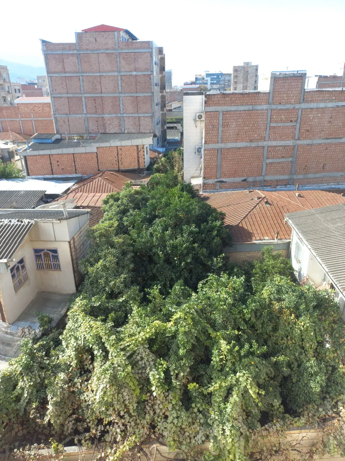 رهن کامل آپارتمان هنرستان
