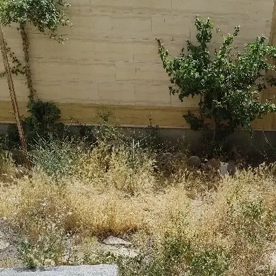 فروش زمین