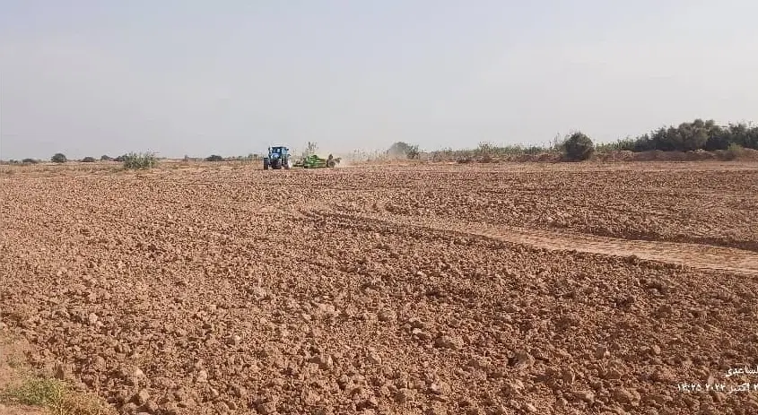 زمین کشاورزی