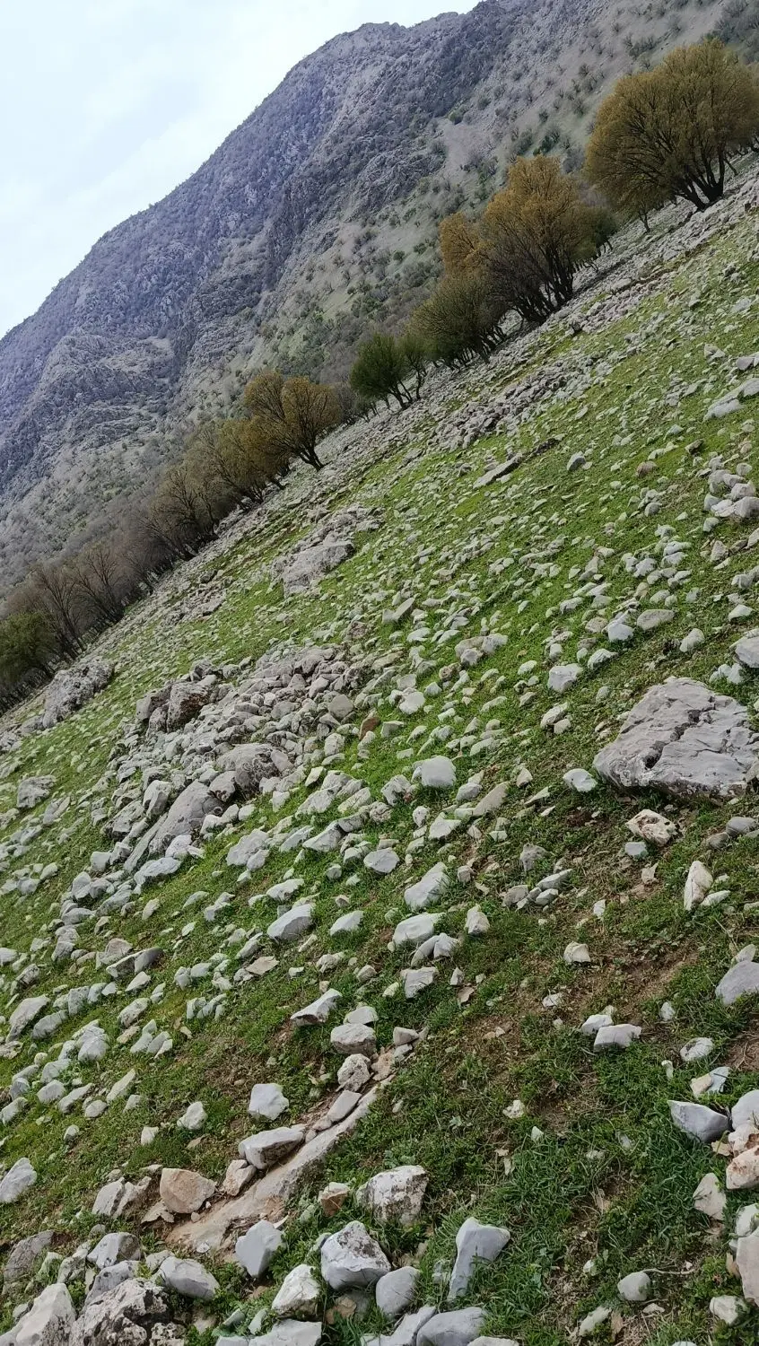 زمین مسکونی قلعه سنگی