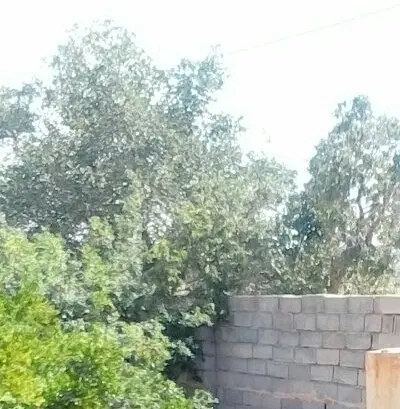 زمین کشاورزی چاه موتور قدس باغستان علیا