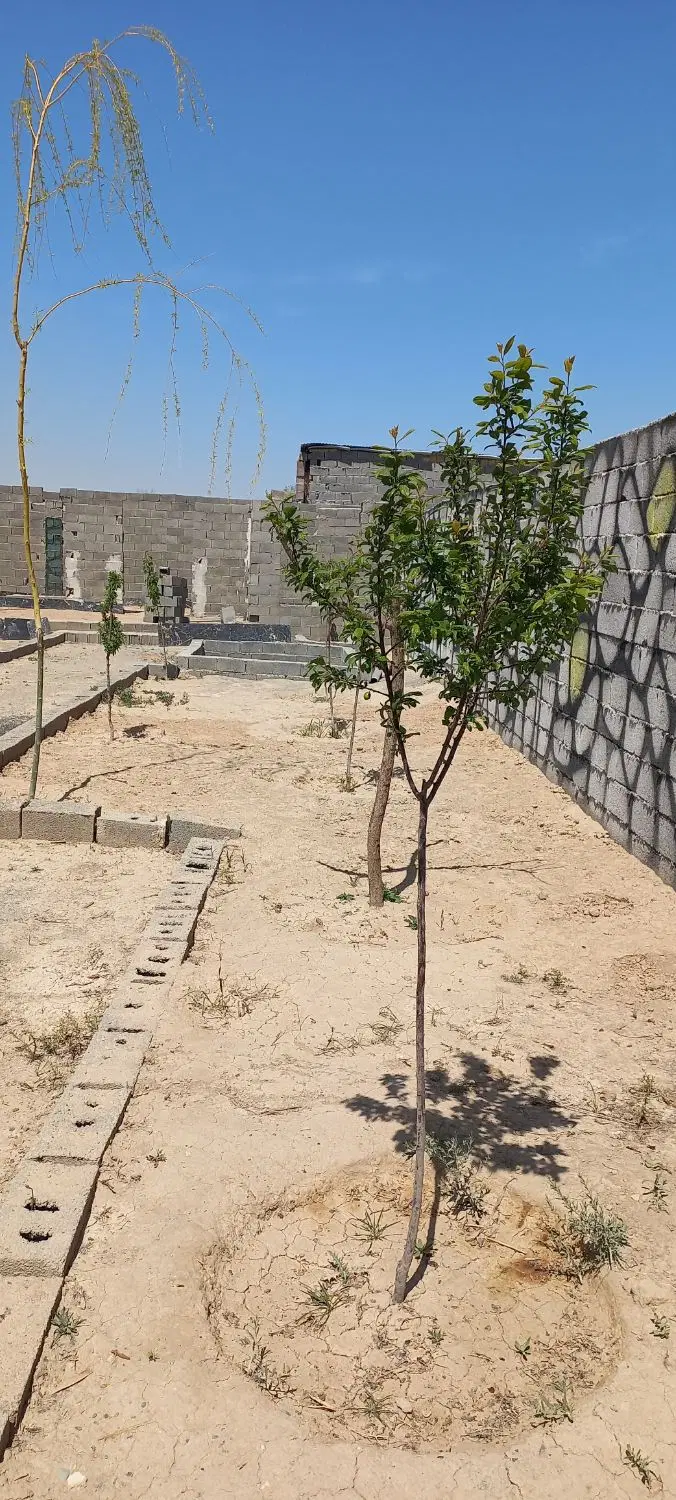 باغچه ۳۴۰متری روستای پیغمبر