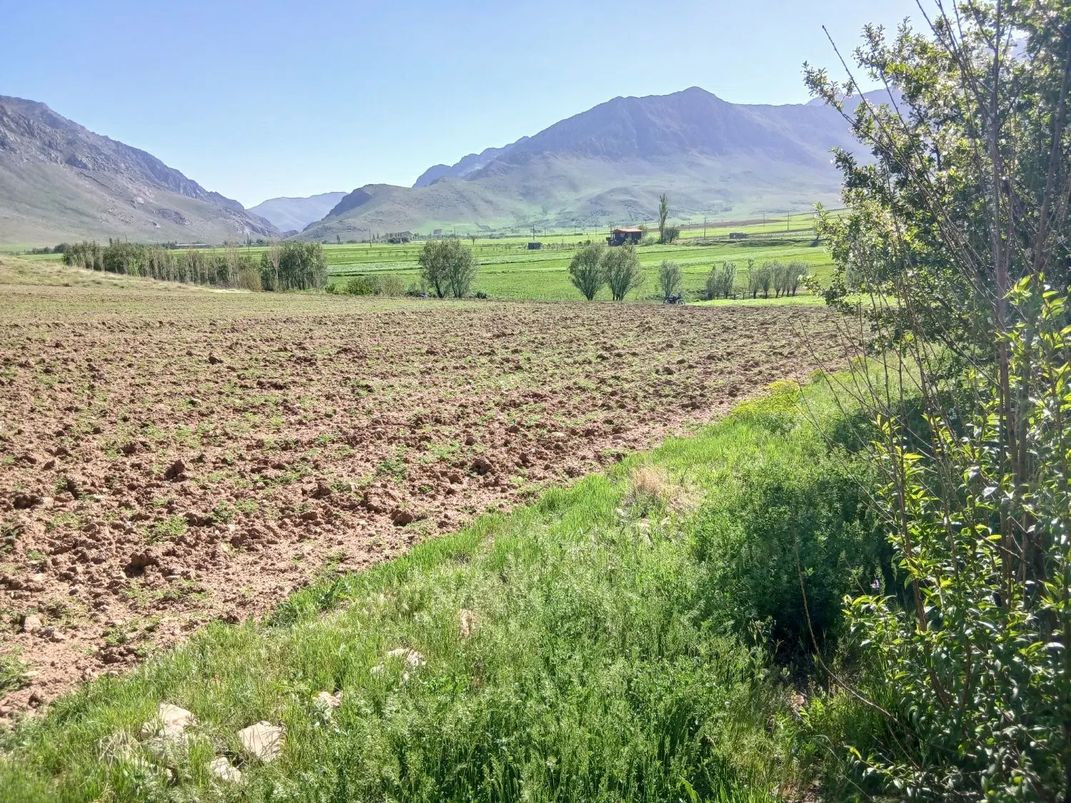 فروش زمین دیم باغی