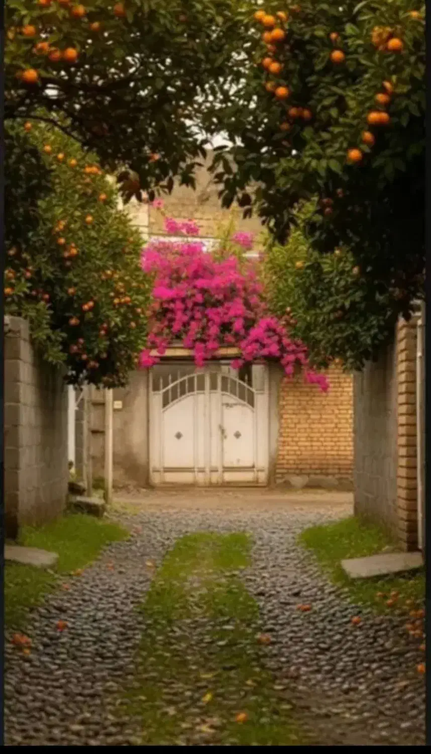 زمین  تجاری مسکونی آبرسانی