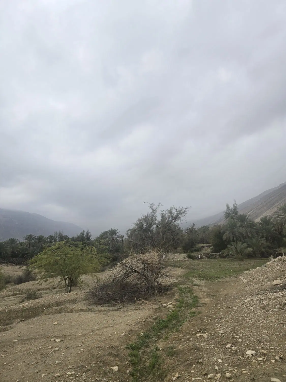 زمین