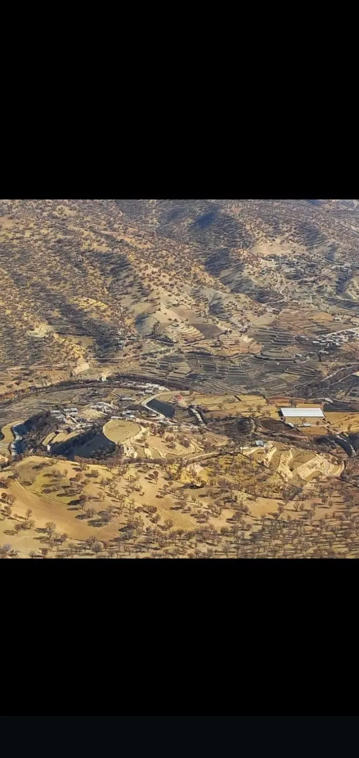 کافه باغ میخوام برای اجاره