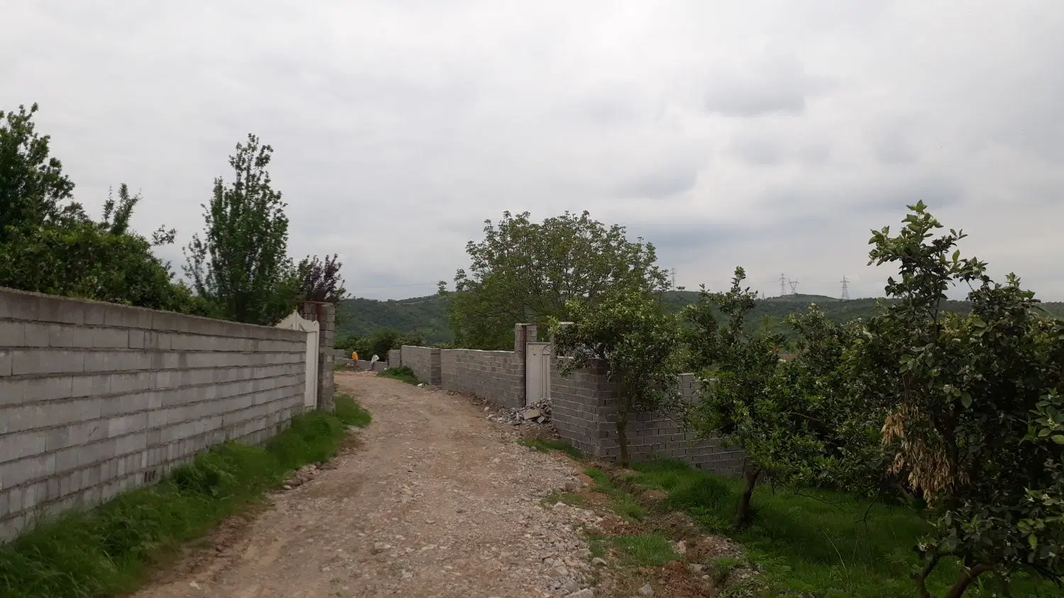 زمین باغی مناسب ویلا سازی