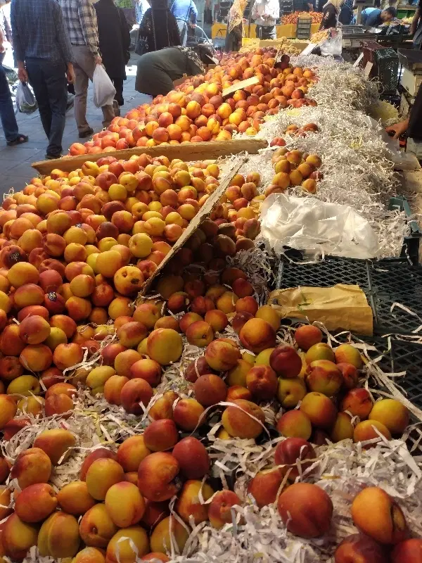 مغازه میوه فروشی