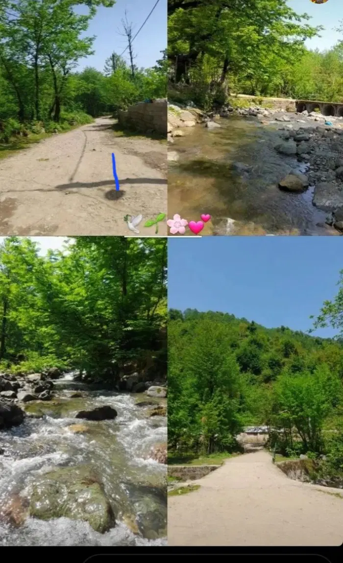 ویلا کنار رودخانه و در دل جنگل