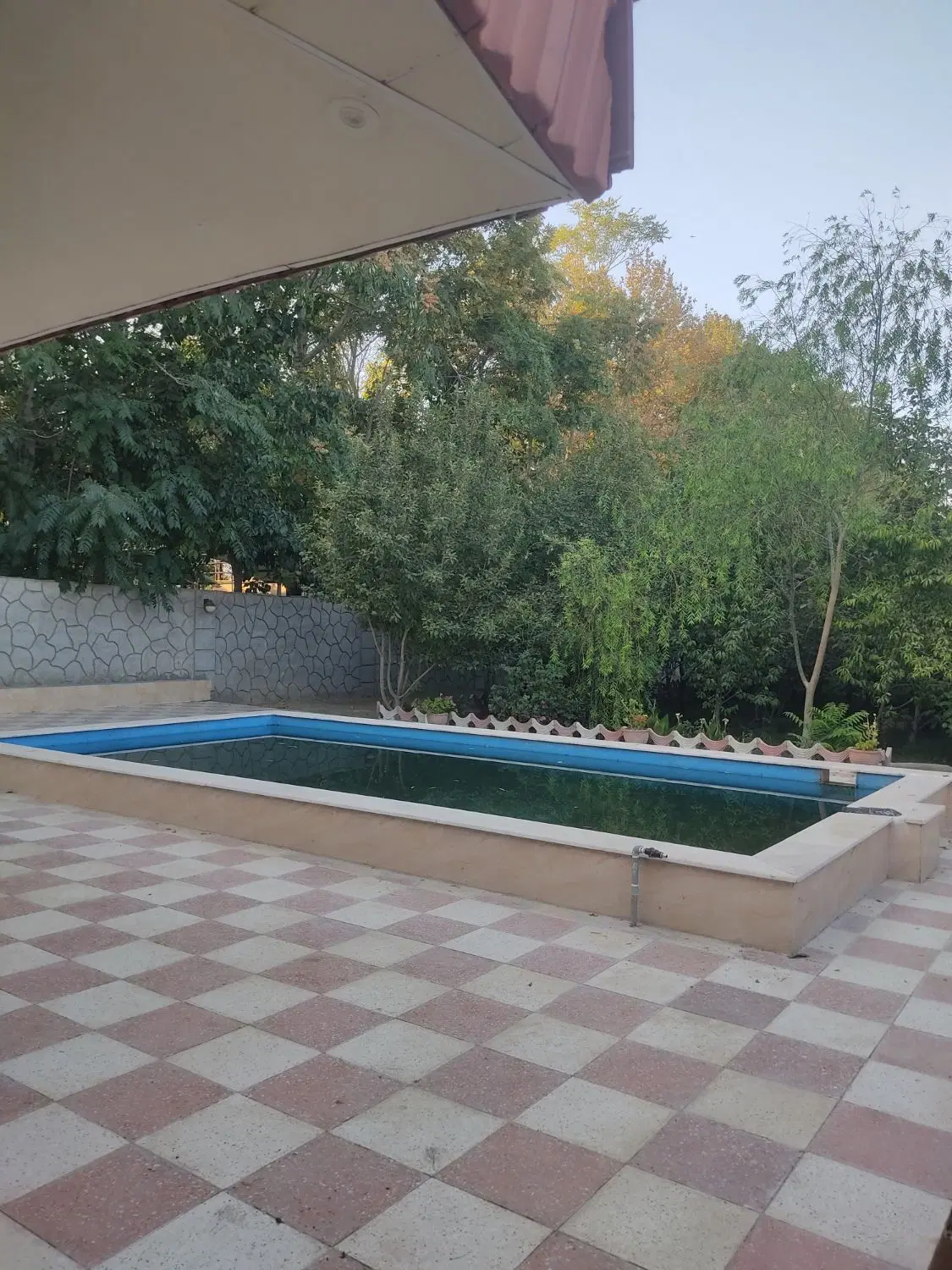 باغ جنگلی