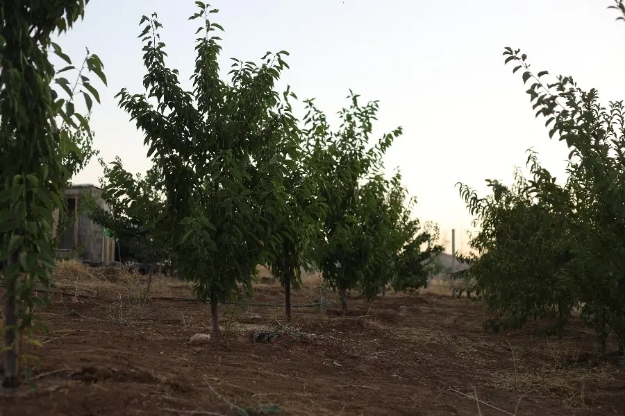 خانه باغ آدینان