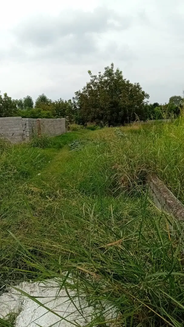 زمین مسکونی