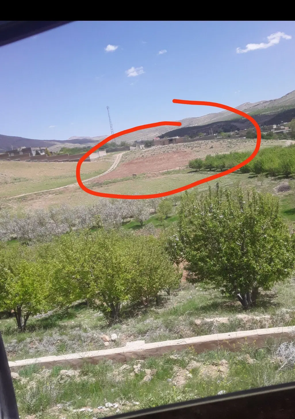 زمین مسکونی