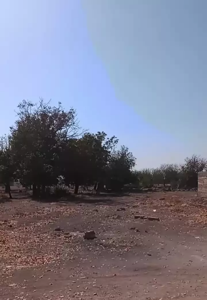 اجاره خانه حمیدآباد دربست