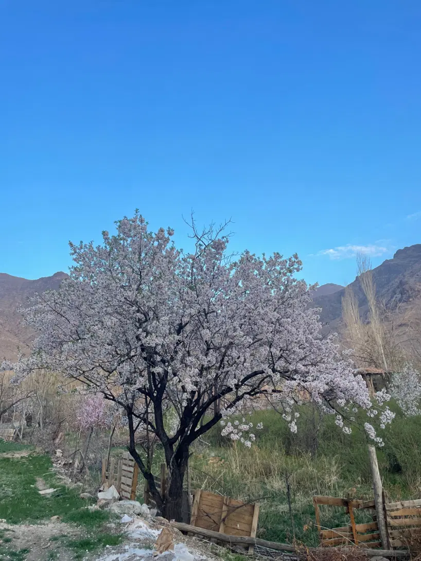 زمین فروشی