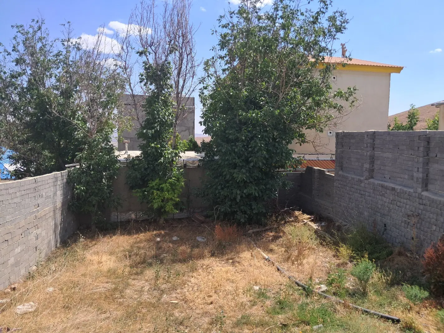 زمین در آرو