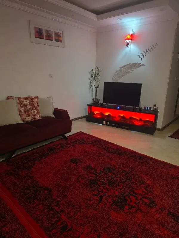 همخونه خانم میپذیرم